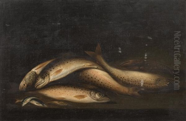 The Catch - view 1
