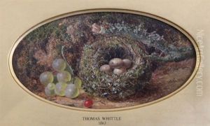 Chaffinch Nest And Grapes by Thomas Whittle the Younger