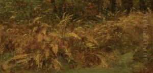 The Catskill Ferns In Autumn