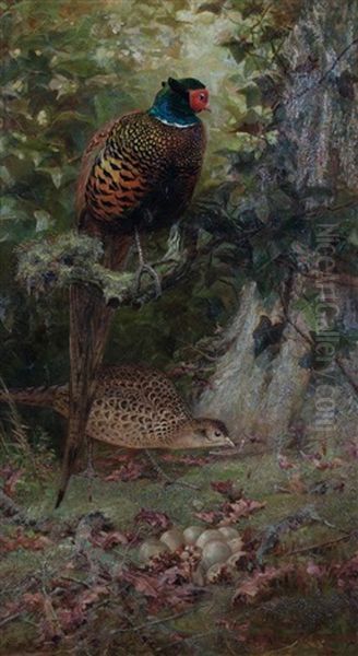 Pheasants, 1884 - view 1