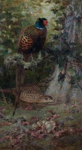 Pheasants, 1884 by Charles Whymper