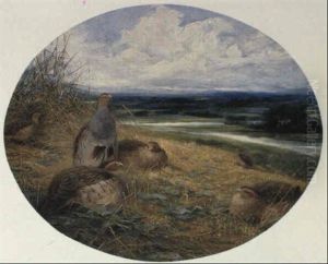Partridges Partridges