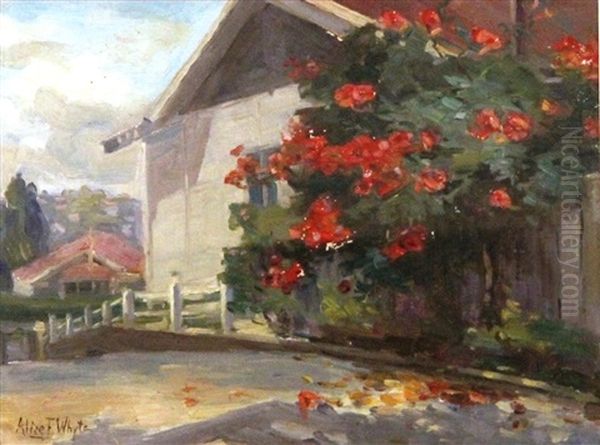 House In Landscape - view 1