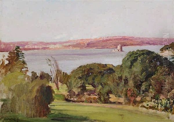 Sydney Harbour From The Botanic Gardens - view 1