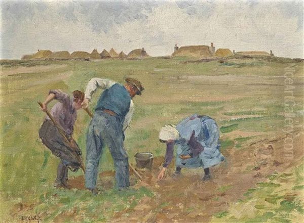 Digging Potatoes - view 1