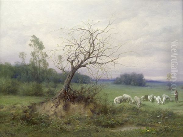 Weidende Schafe Im Vorfruhling (in Der Wachau) - view 1