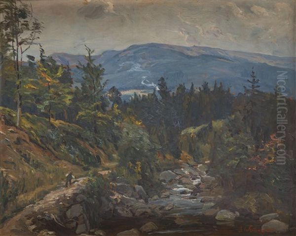 Karkonosze - Route To Szrenica - view 1