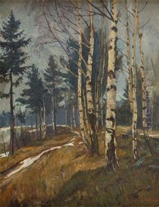 Birch-trees In Karkonosze Birch-trees In Karkonosze