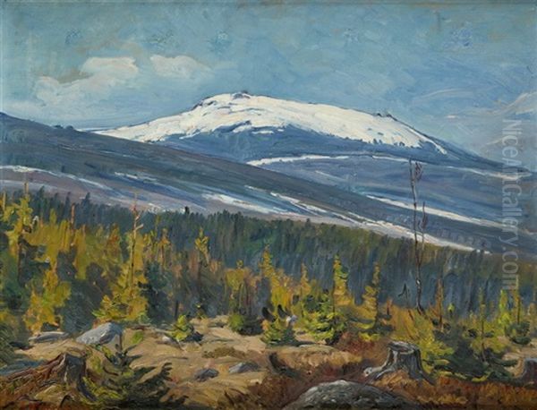 Widok Na Szrenice - view 1