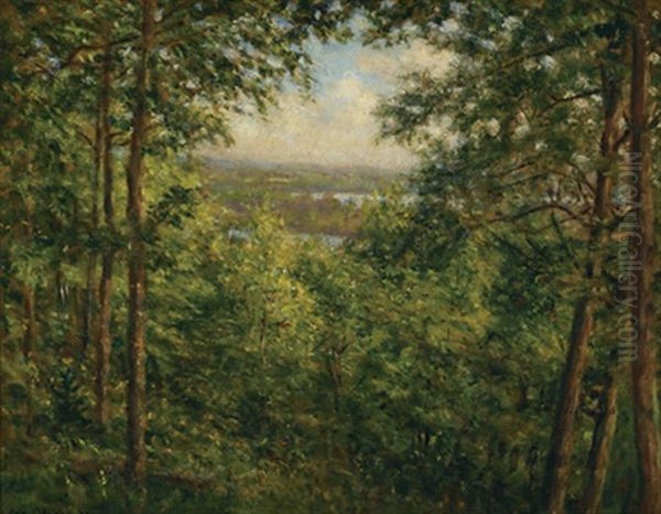 A Glimpse Of The Ottawa Near St. Andrews East, Quebec - view 1