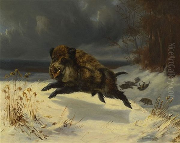 Keiler Auf Der Flucht In Winterlandschaft - view 1