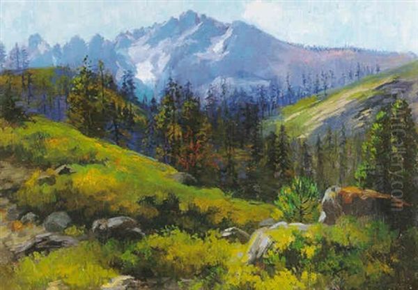 Mountain Range - view 1