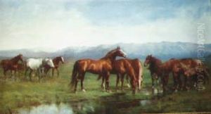 Grazing Horses by Paul Giovanni Wickson