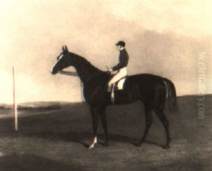 A Racehorse With Jockey Up A Racehorse With Jockey Up