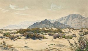 Palm Springs Desert Landscape by Gunnar Mauritz Widforss