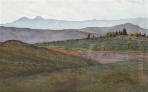 Upland Landscape by Gunnar Mauritz Widforss