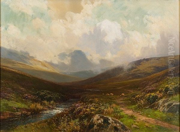A Dartmoor Valley - view 1