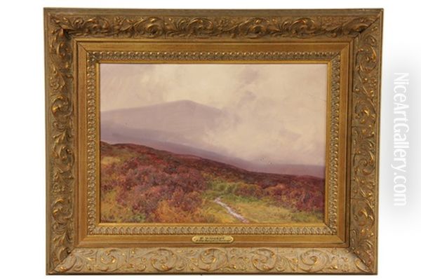 Sentinel Mountain, Nh - view 1