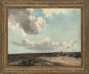 Haldon Moors, West Exeter