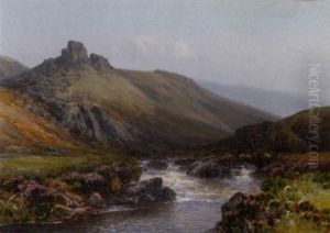 Badgworth Waters, Exmoor