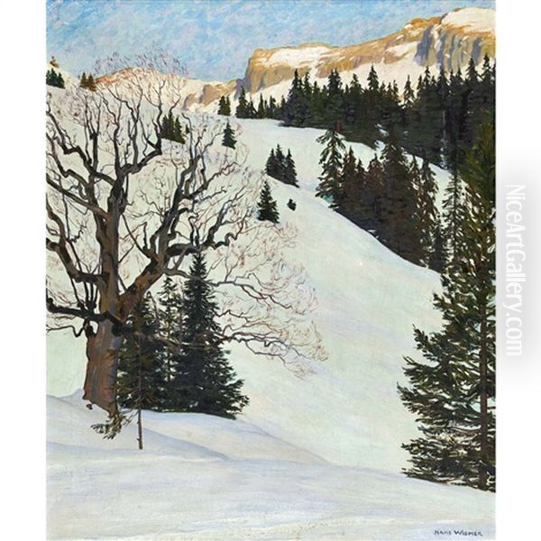 Winterliche Berglandschaft - view 1