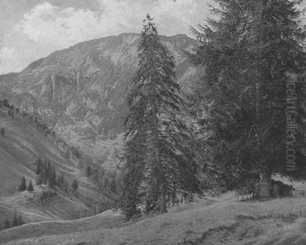 Sommerliche Gebirgslandschaft - view 1