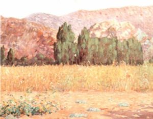 Summer Landscape Summer Landscape