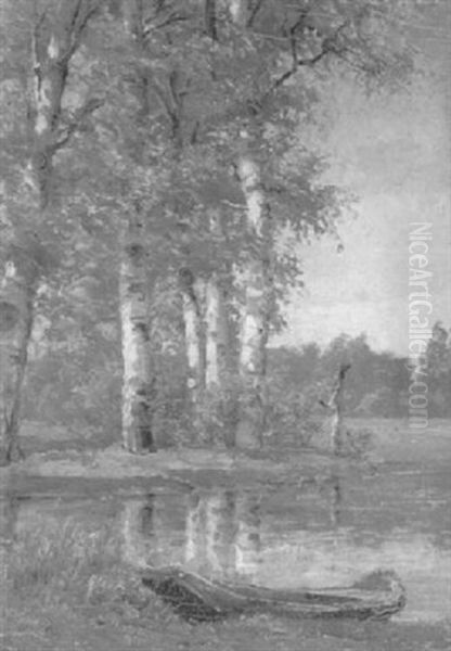 Birken An Der Hamme In Der Fruhlingssonne - view 1