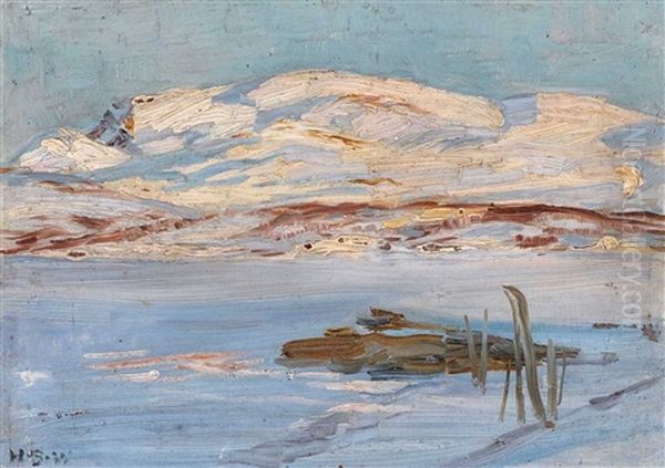 Winterlandschaft - view 1
