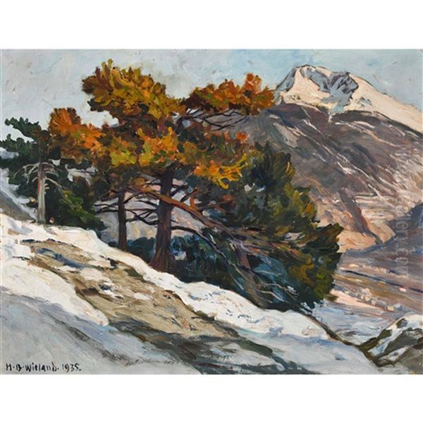 Illhorn - view 1