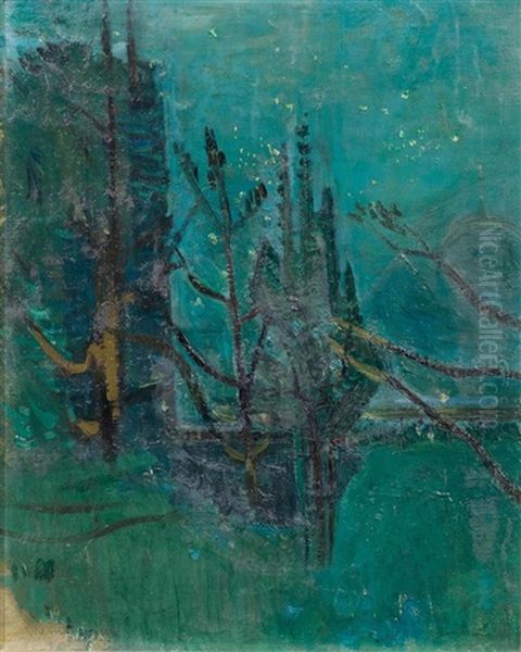 Park On A Starry Night - view 1