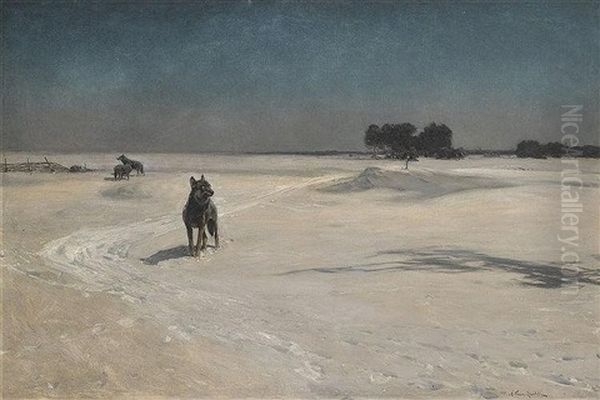 Vier Wolfe In Schneelandschaft - view 1
