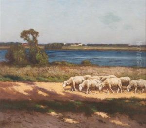 Sheep On Riverbank Sheep On Riverbank