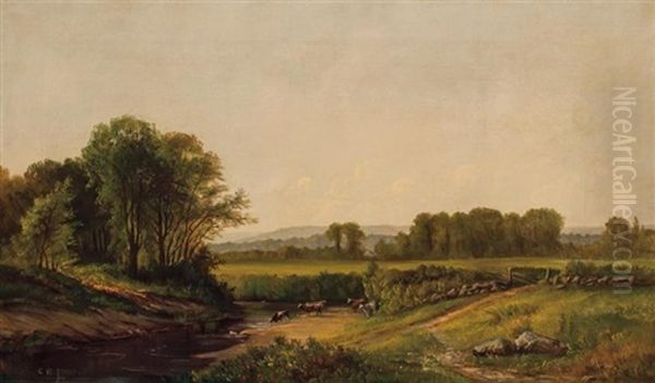 Cows Watering - view 1