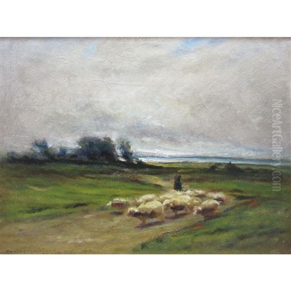 Landscape With Sheep On A Path - view 1