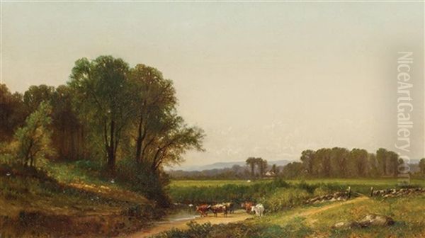 Cattle In Pasture - view 1