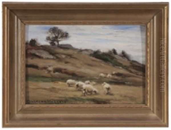 Sheep In A Landscape - view 1