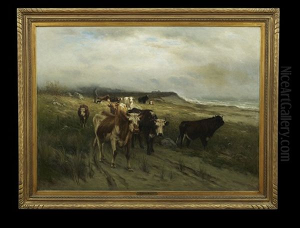 Cattle In A Pasture By The Sea - view 1