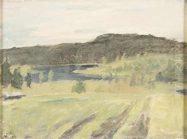 Landscape From Ruovesi - view 1