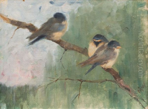Birds - view 1