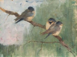 Birds Birds
