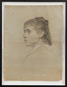 Study Of A Lady Study Of A Lady