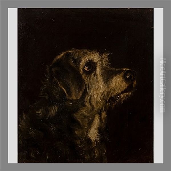Dog's Head, Kekku - view 1