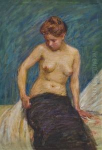 Model Undressing Model Undressing
