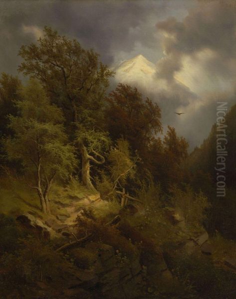 Felisge Baumlandschaft - view 1