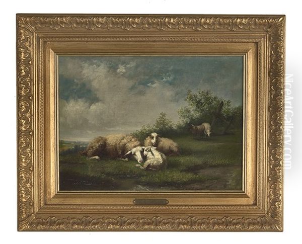 The Prize Sheep - view 1