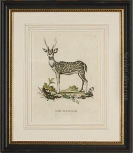 [animals]: Eight Plates
