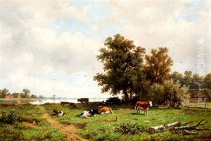 Koeien In Zomerse Weide Aan Een Plas Koeien In Zomerse Weide Aan Een Plas