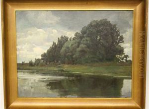 Boomgroep Onder Dreigende Wolkenlucht