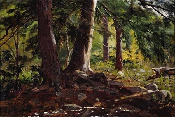 Wooded Landscape - view 1